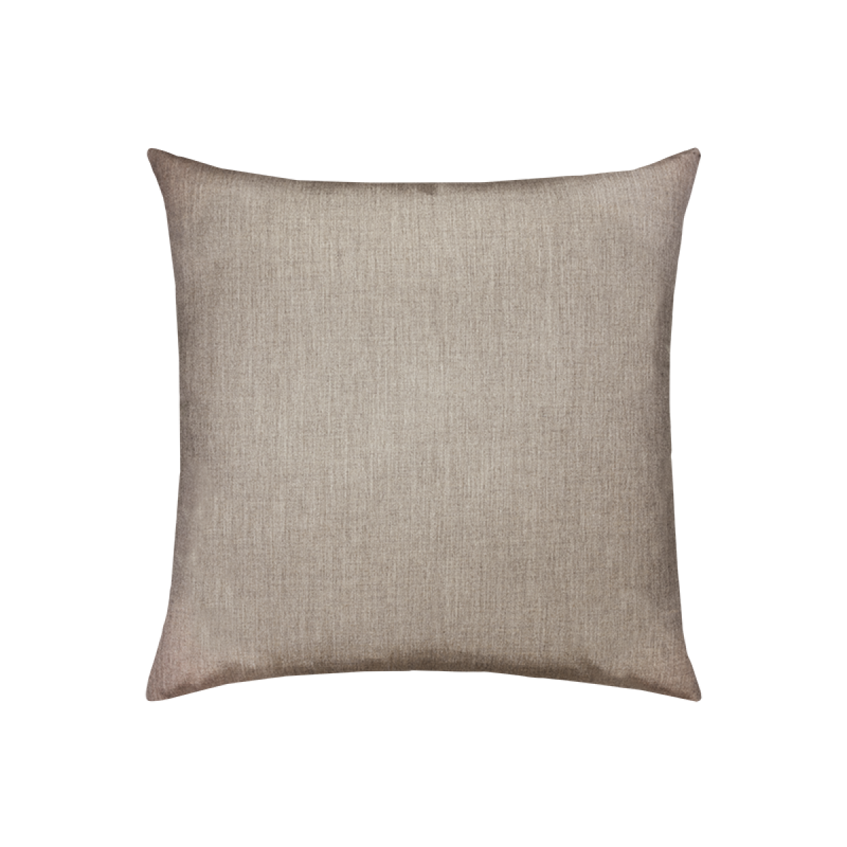 Back of Cast Ash Essentials 17