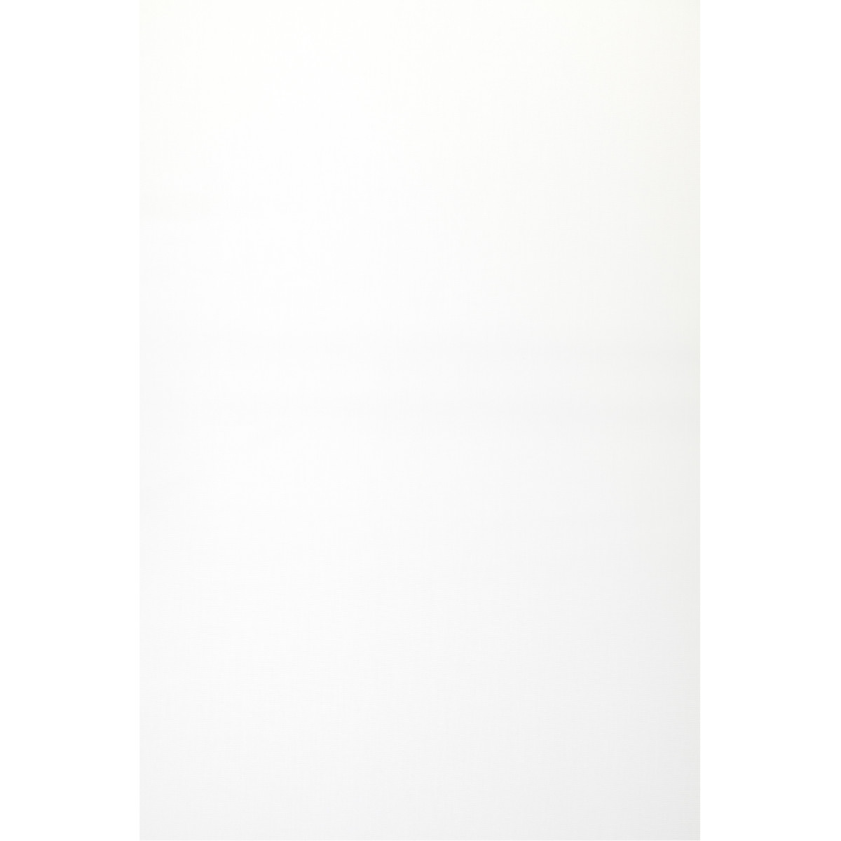 Back of Canvas Natural Fabric