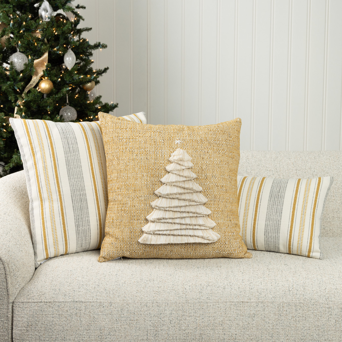 Back of Fraser Fir Golden 20