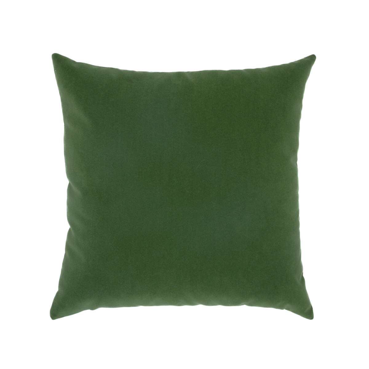 Lush Velvet Ivy 20