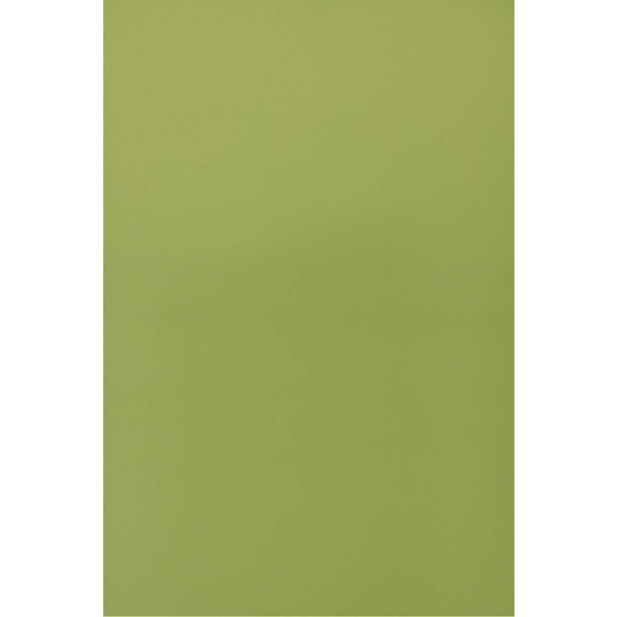 Canvas Ginkgo Fabric