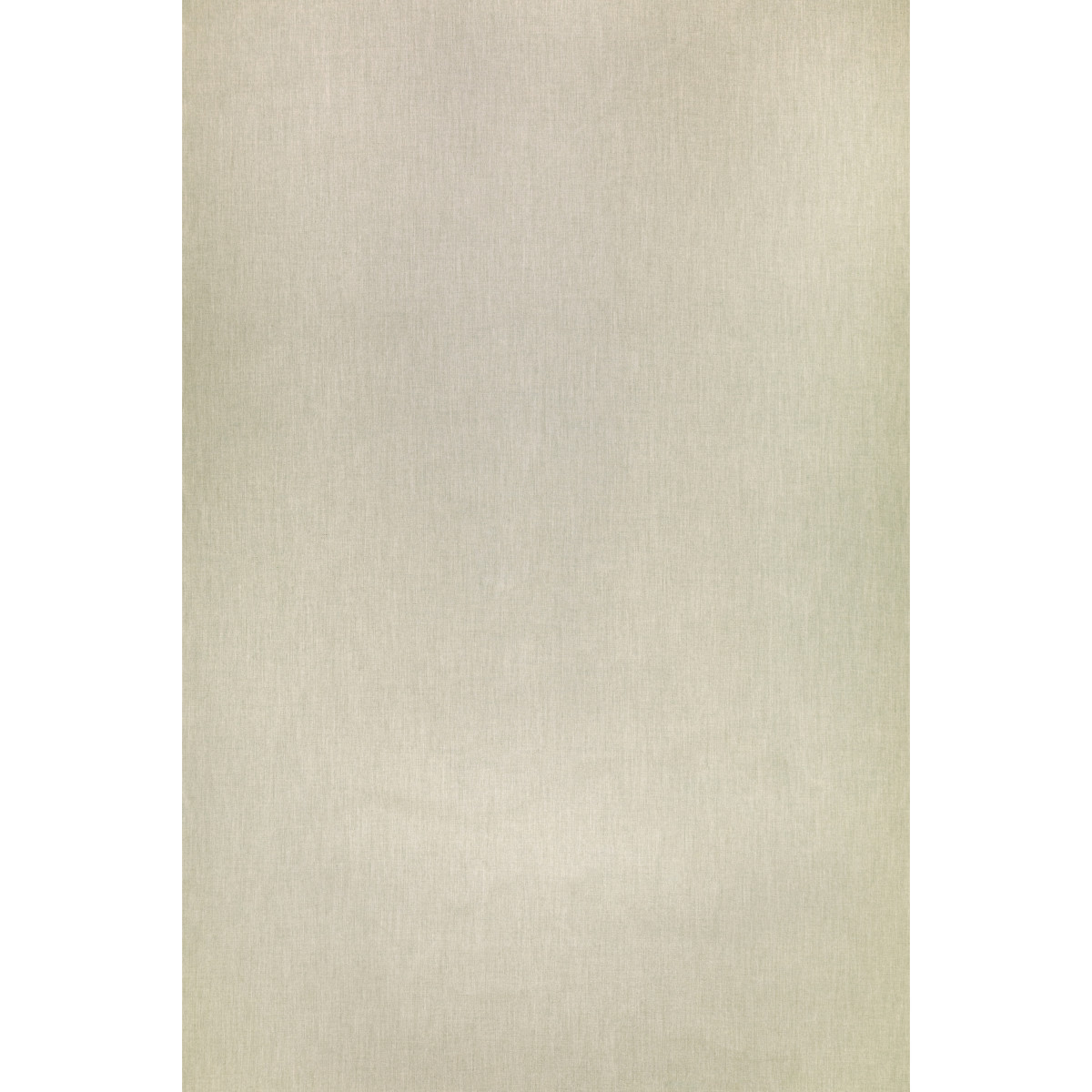Cast Ash Fabric
