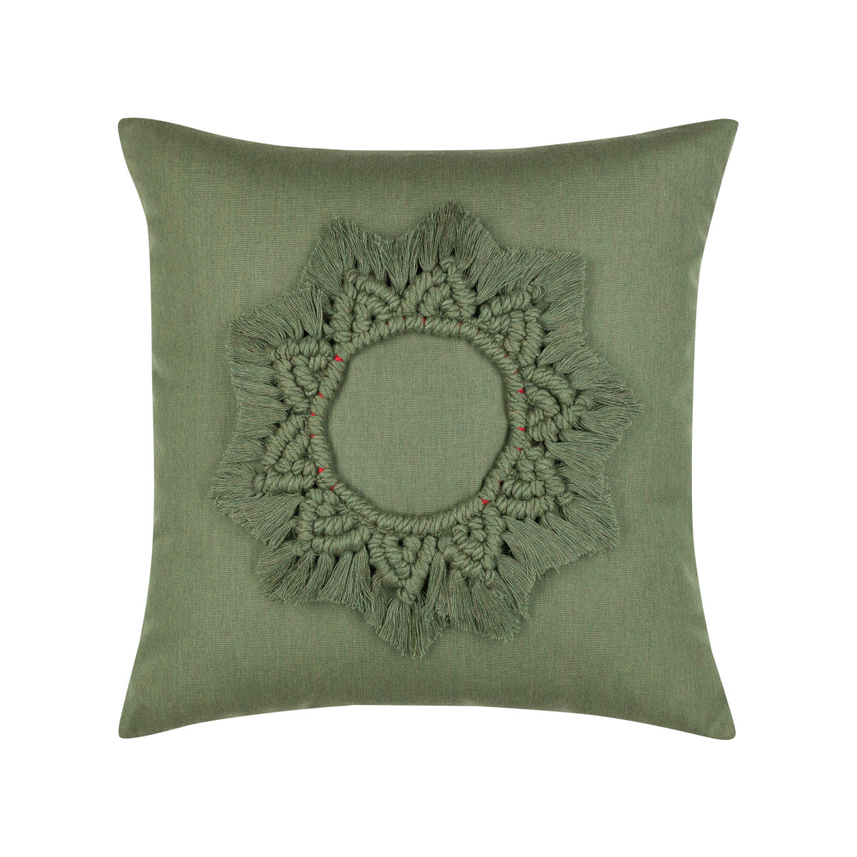 Wreath Fern 20