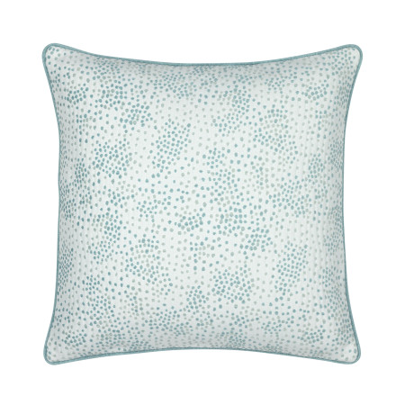 Speckle Surf*