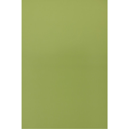 Canvas Ginkgo Fabric