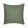 Canvas Fern*